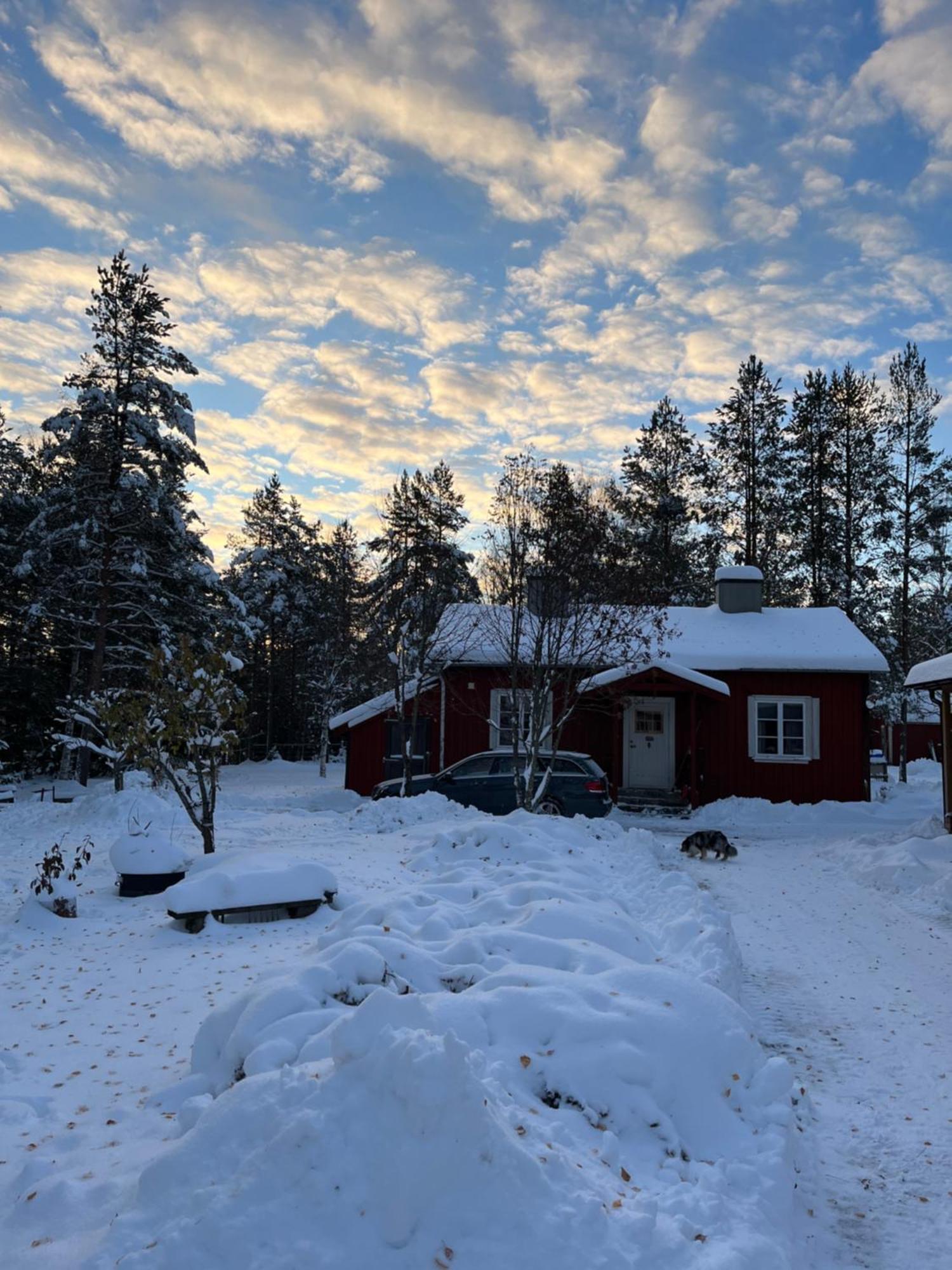 Nya Skogsgarden Hostel Mårbacken Exterior foto